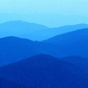 Meet your Posher, Terrell